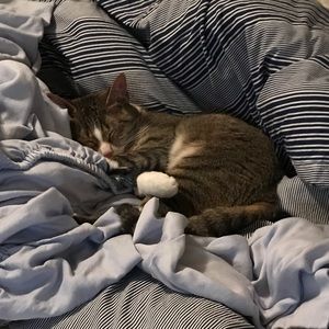 Meet your Posher, Andrew